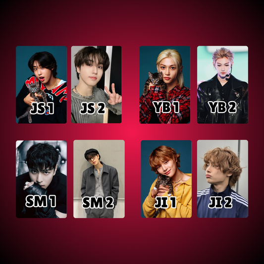 Stray Kids Photocards