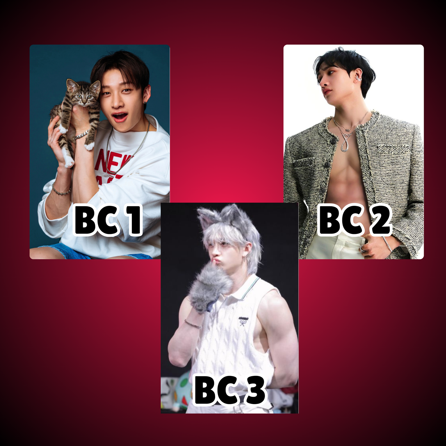 Stray Kids Photocards