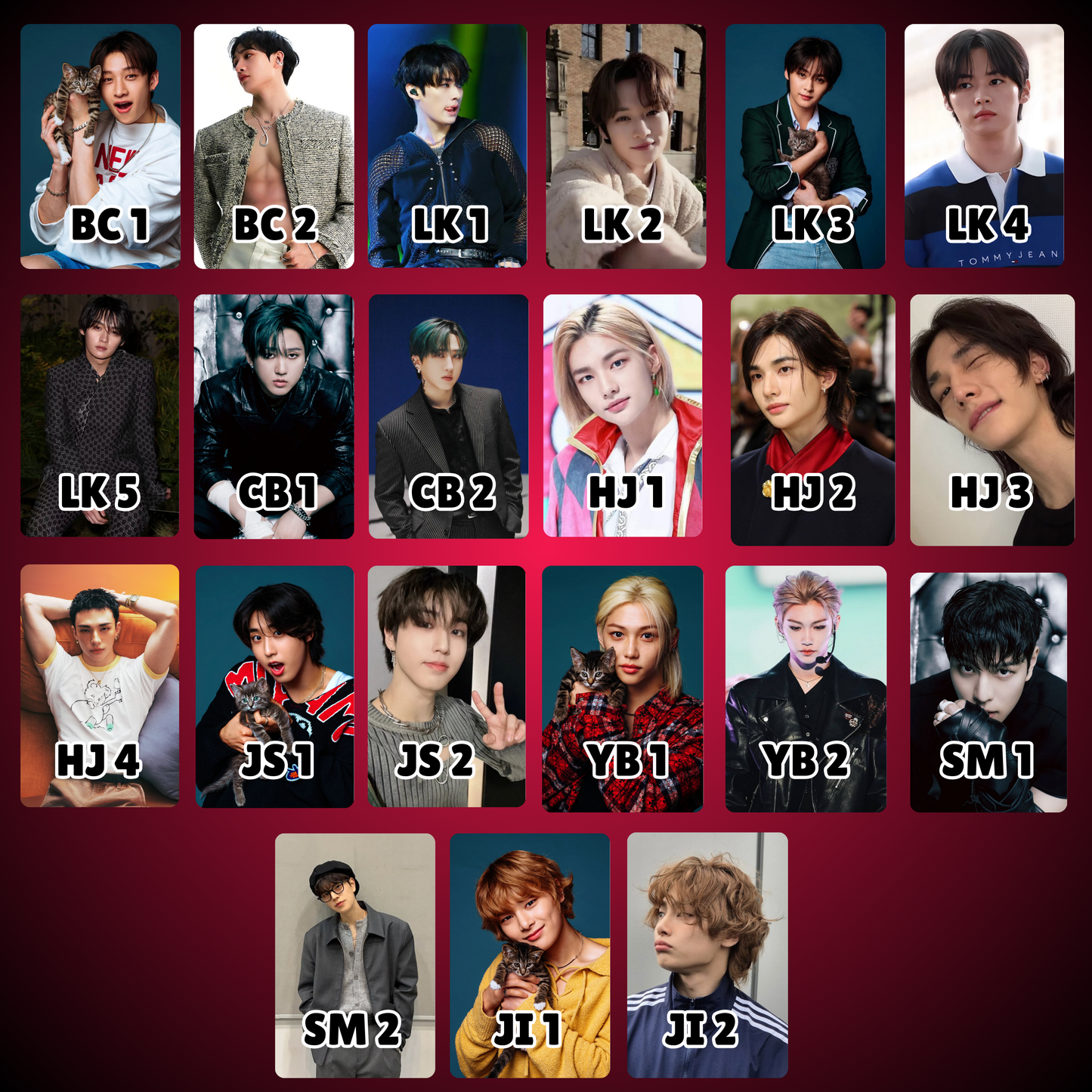 Stray Kids Photocards