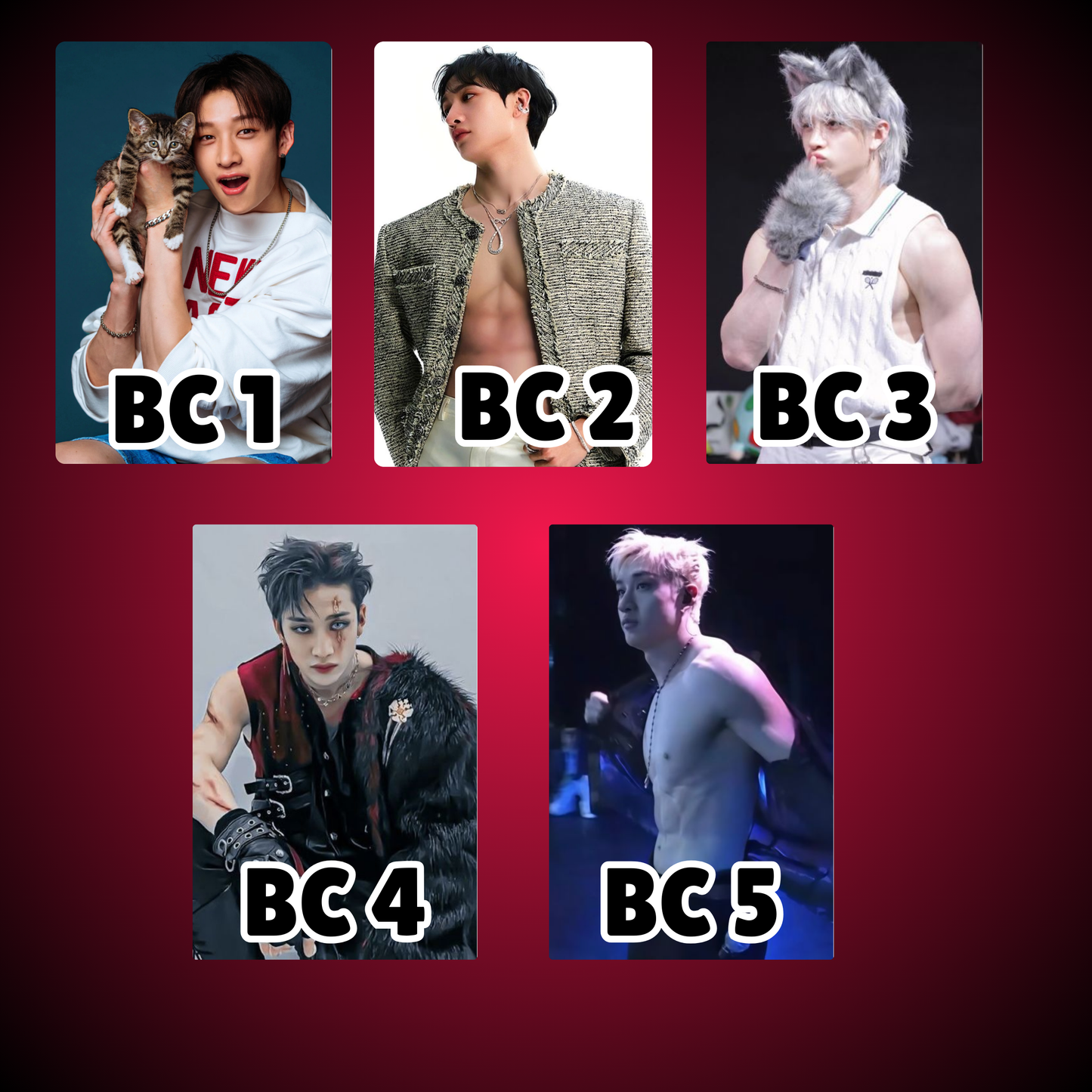 Stray Kids Photocards