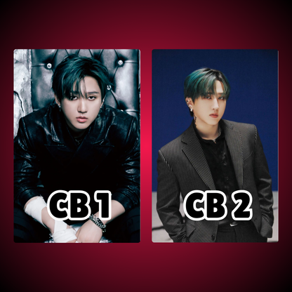Stray Kids Photocards