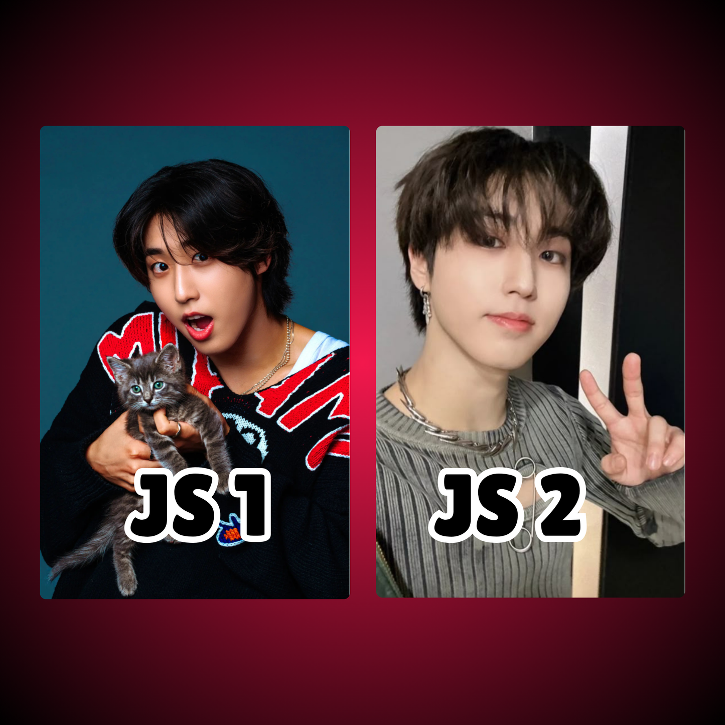 Stray Kids Photocards