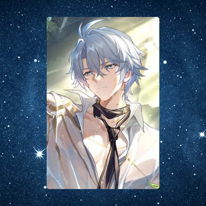 Genshin Impact Honkai Gacha Photocards