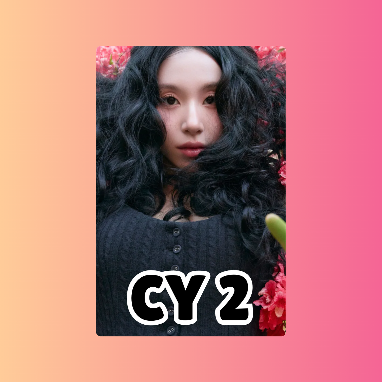 TWICE Photocards